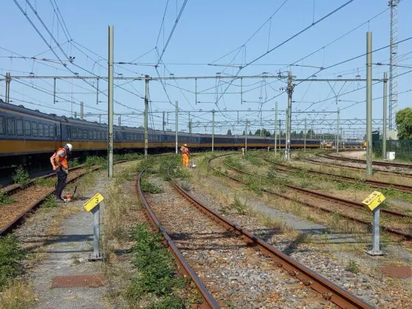 Groenbeheer Amstelsepoort