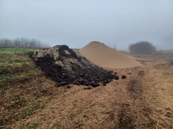kunstdassenburcht dassen spoor verzakking